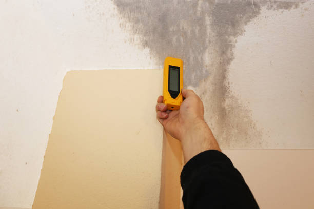 Best Airborne Mold Testing  in Conley, GA