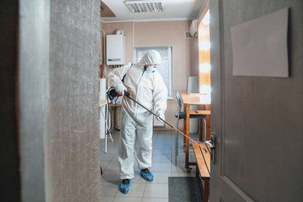 Best Basement Mold Removal  in Conley, GA