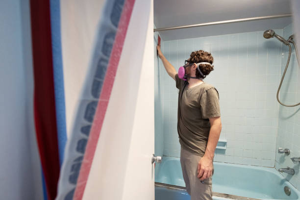  Conley, GA Mold Removal Pros