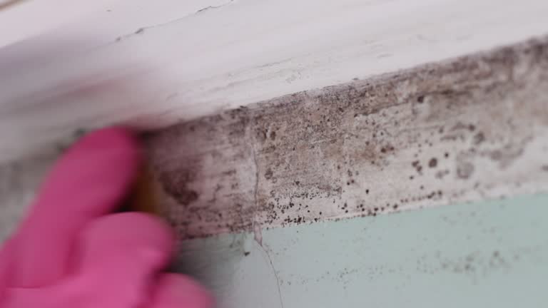 Best Residential Mold Inspection & Testing  in Conley, GA